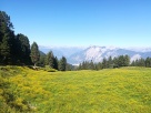 Beispielbild 3