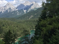 Beispielbild 4