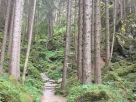 Beispielbild 5