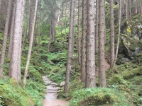 Beispielbild 5